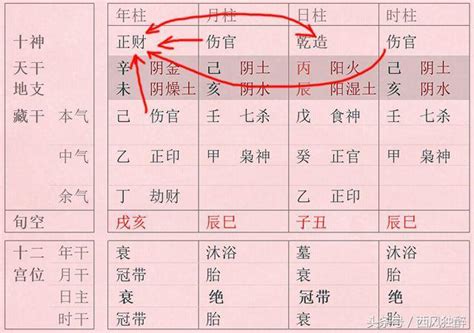 八字傷官意思